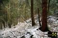 Grube Schöne Aussicht bei Burbach im Westerwald, Rheinland-Pfalz, (D) (13) 24. April 2016.JPG